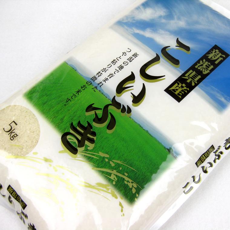 こしいぶき 新潟県産 （ 令和7年産 ） 10kg （5kg×2袋） 【 送料無料