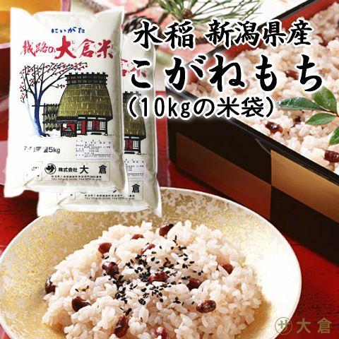 令和7年新潟県産こがねもち　もち米　餅米 新潟県産令和7年産 もち米「こがねもち」上越市浦川原農業振興公社