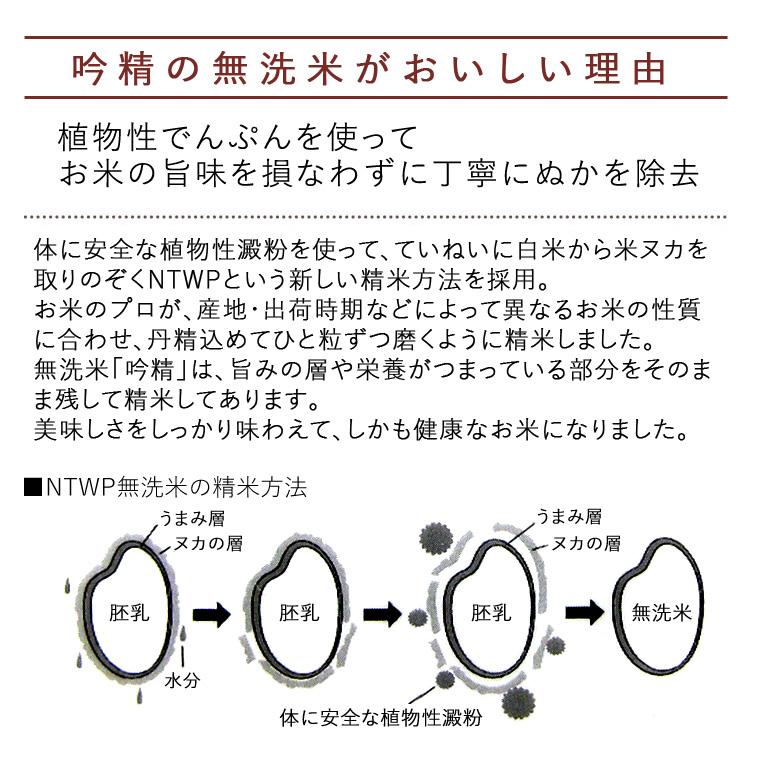 お米 2kg 《 無洗米 》 魚沼産 コシヒカリ （令和5年産） 2kg｜komeyaookura｜03
