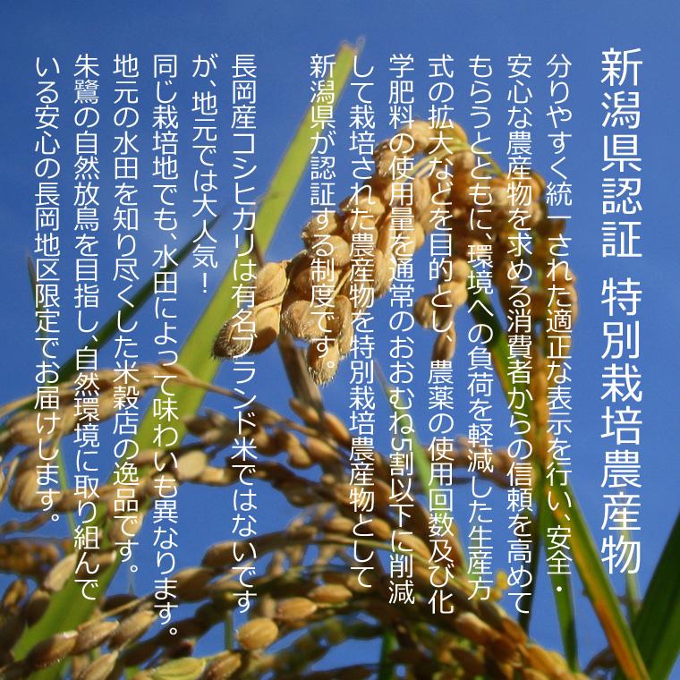 コシヒカリ 特別栽培米 新潟県産 （ 長岡地区限定 ）（ 令和7年産