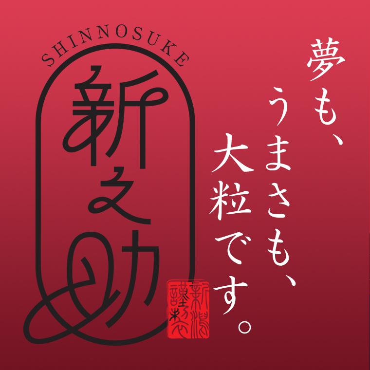 新之助（しんのすけ） 新潟米 （ 令和7年産 ） 2kg 【 送料無料 （本州