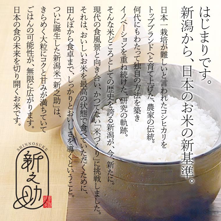 新之助（しんのすけ） 新潟米 （ 令和7年産 ） 2kg 【 送料無料 （本州