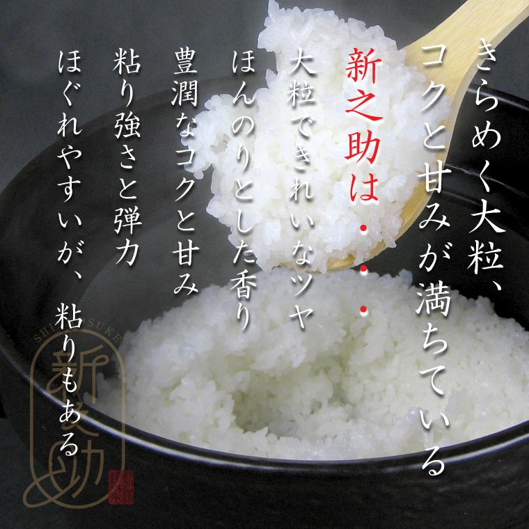 新之助（しんのすけ） 新潟米 （ 令和7年産 ） 2kg 【 送料無料 （本州