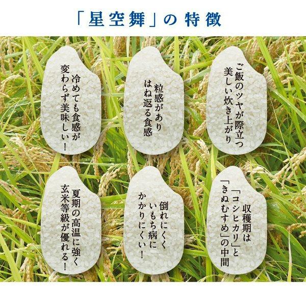 新米 7年 星空舞 5kg 送料込価格 （北海道・沖縄・離島地域除く） 鳥取