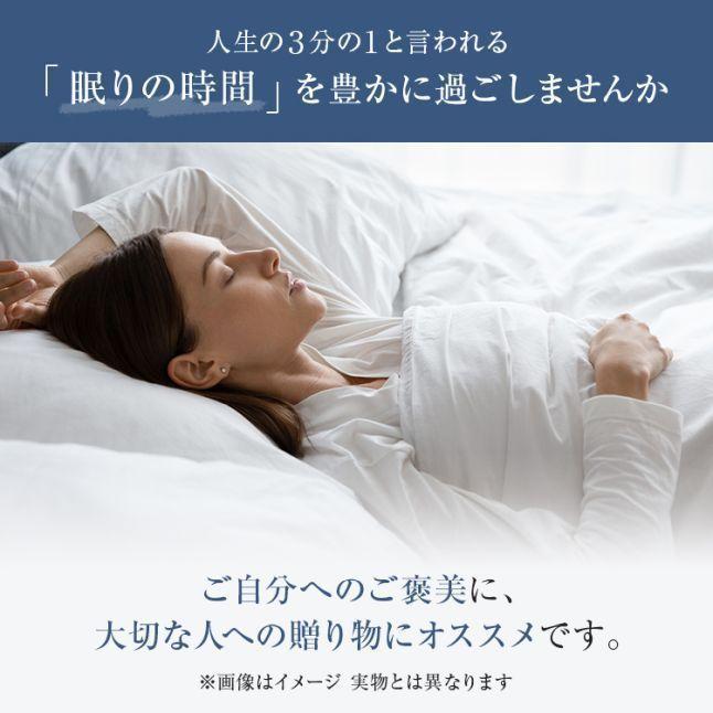 フランスベッド（FRANCEBED） 正規品 羽毛布団 クイーン AS-DLQ-90