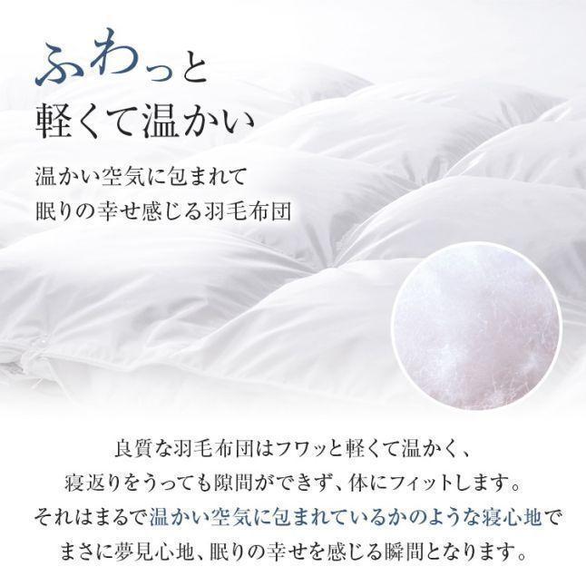 羽毛布団 クイーンサイズ セット (フランスベッド) まとめ買い特典 2枚ご購入で10%OFF】FranceBed（フランスベッド）羽毛
