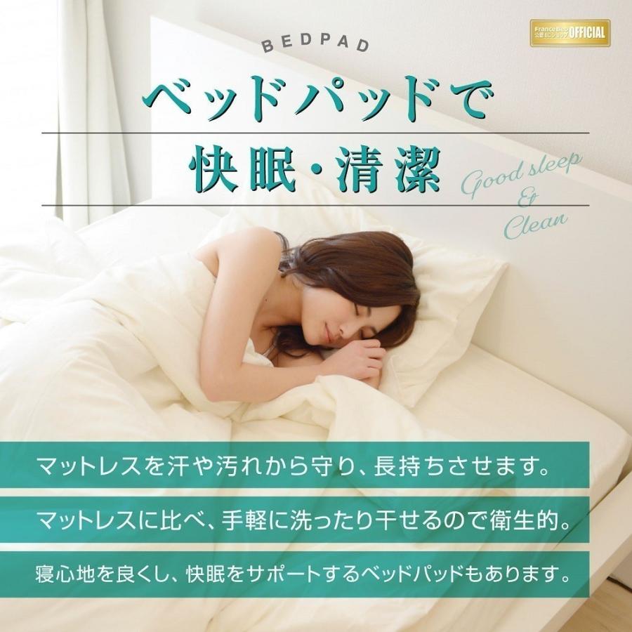 正規品 フランスベッド オールシーズンメッシュパッド ライン＆アースN 寝装品3点 ワイドダブル | ベッドパッド マットレスカバーの画像