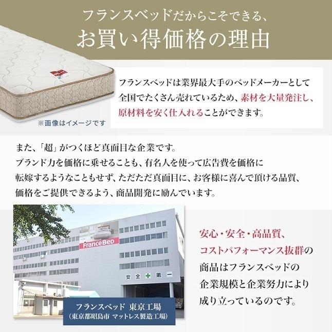 日本からの直送 【3/31価格改定】セット特価・フランスベッド ベッド ワイドダブル ES-901 ・TW-010α | 正規品 ベッド ES901 マットレス付き 脚付き スノコ