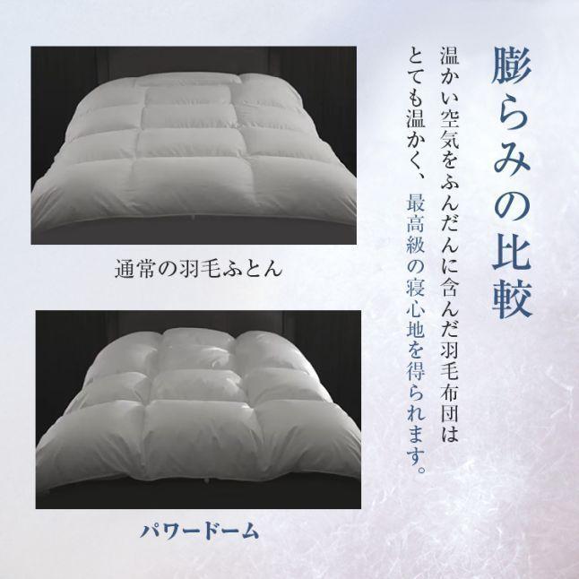 フランスベッド 高級羽毛ふとん ダブル まとめ買い特典 2枚ご購入で10%OFF】FranceBed（フランスベッド