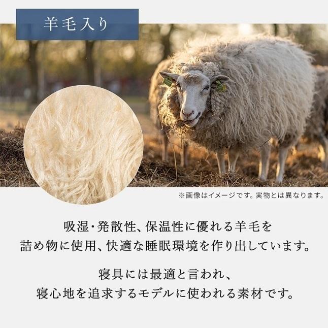 フランスベッド（FRANCEBED） 正規品 マットレス セミダブル LT-5000α