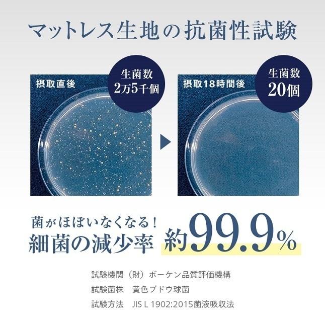 フランスベッド（FRANCEBED） 正規品 マットレス セミダブル LT-5000α