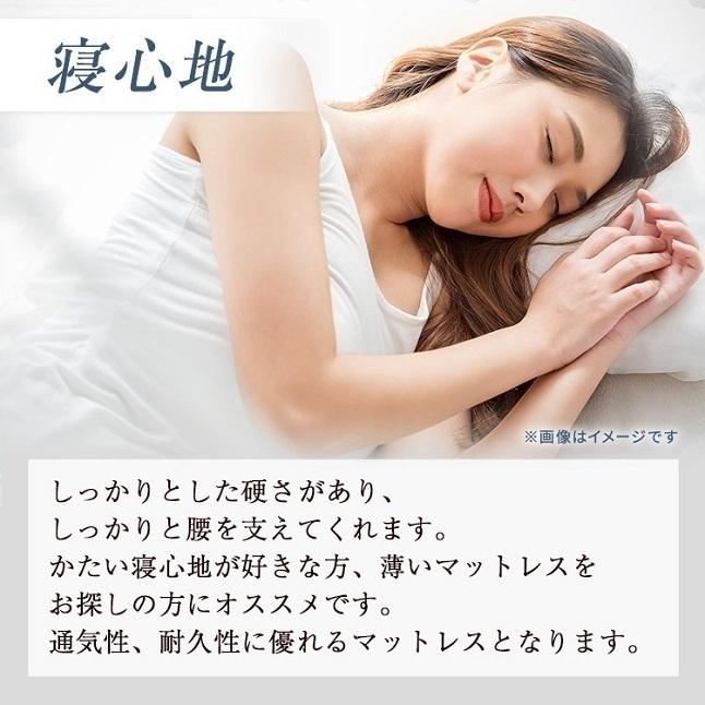 正規品 セット特価 フランスベッド ベッド ダブルサイズ PR70-06C 引き出し付き TW-010α | 70周年 棚 スノコ DR マットレス付き pr7006c tw010aの画像