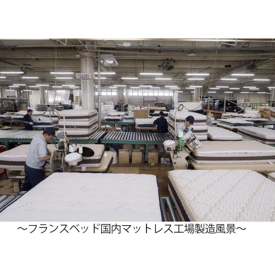 フランスベッド（FRANCEBED） 正規品 マットレス RX-THF ダブル