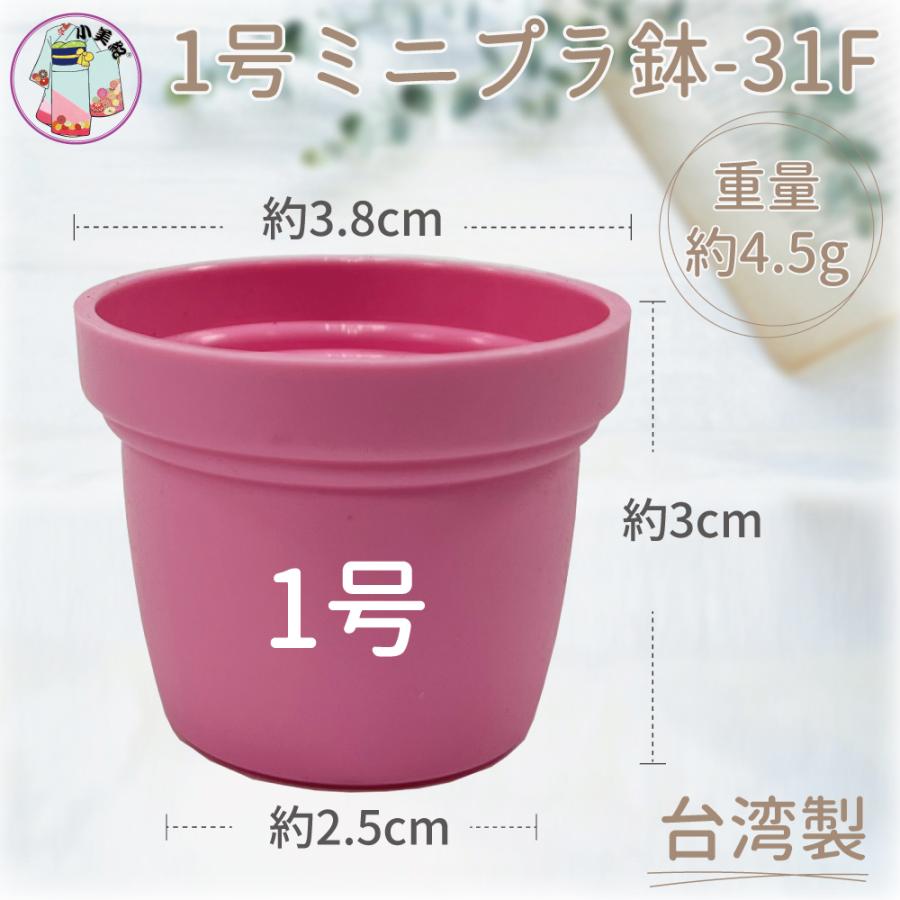 1号 1寸 ミニプラ鉢 プラ鉢 植木鉢 多肉植物 葉挿し 盆栽 寄せ植え