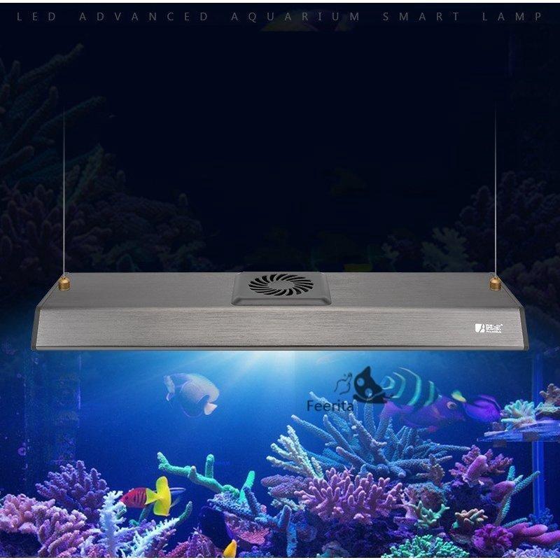 特別セーフ アクアリウムライト 水槽ライト 防水仕様 両 海水 淡水 長寿命 水草育成用 観賞魚飼育 水槽照明 タイミング機能付き 昼と夜 Ledディスプレイ付き 防水仕様 アクアリウムライト 水槽ライト Ledディスプレイ ライト 照明器具 Healthwithhomeo Com