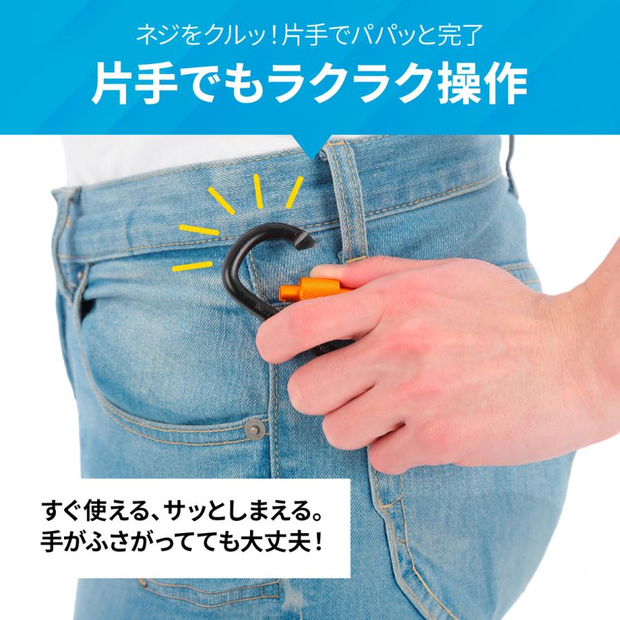 カラビナ セット 5本セット D型 ロック 式 キーホルダー ペットボトル