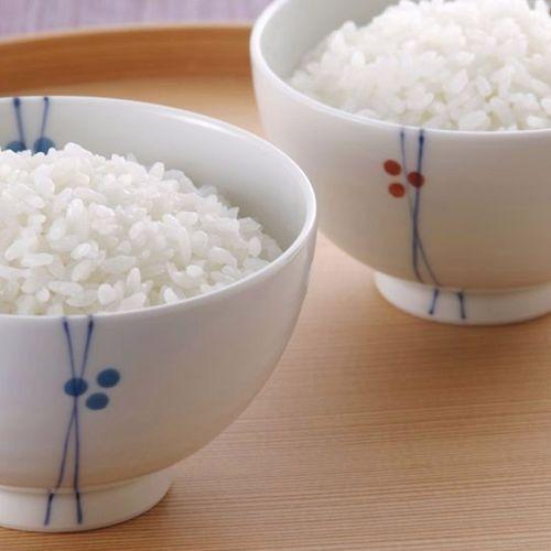 【白米】 匠の米「田村ひとめぼれ30kg」（5kg×6袋) 令和7年産_2