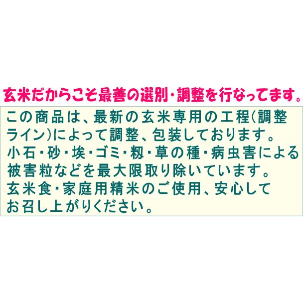 17150775_6