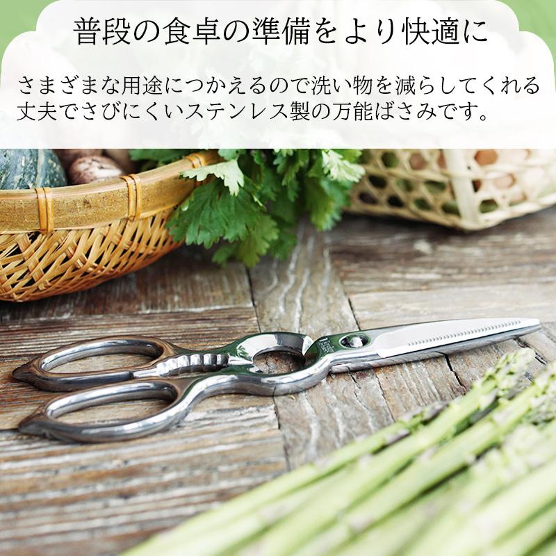 低価格の キッチンバサミ オールステン ヴェルダン キッチンハサミ オールステンレス 下村工業 OVK-2 調理小物 分解 多機能はさみ 丸洗い 外せる discoversvg.com 低価格の キッチンバサミ オールステン ヴェルダン キッチンハサミ オールステンレス 下村工業 OVK-2 調理小物 分解 多機能はさみ 丸洗い 外せる discoversvg.com