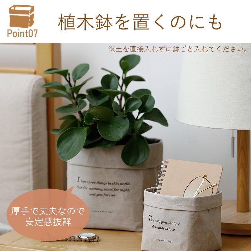 洗えるクラフト紙袋 Mサイズ マチ広 収納 紙袋 紙 再利用 ペーパー