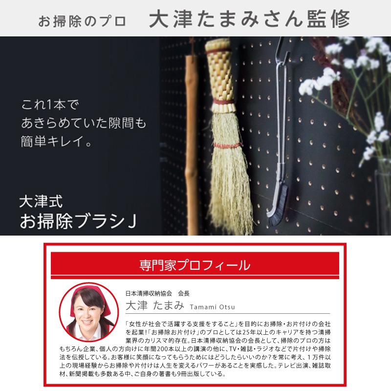 ドリーム 大津式 お掃除 ブラシ J 大津式ブラシ 1本 おそうじ ブラシ