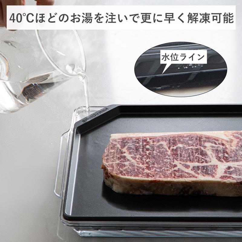 霜山 解凍プレート ケース付き 解凍 急速解凍 解凍板 自然解凍 冷凍