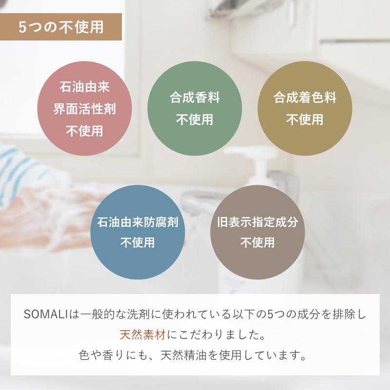 ハンドソープ 石鹸 せっけん 液体 手荒れ 肌に優しい 250ml 日本製