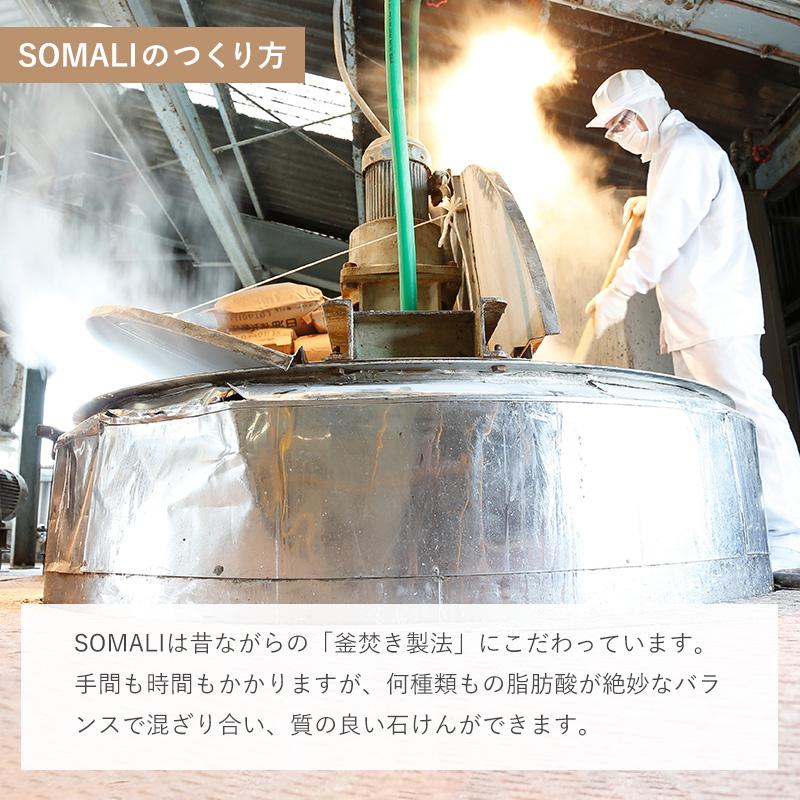 ハンドソープ 石鹸 せっけん 液体 手荒れ 肌に優しい 250ml 日本製