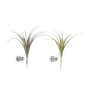 多肉植物 フェイクグリーン ティランドシア〔×24本入り〕インテリア