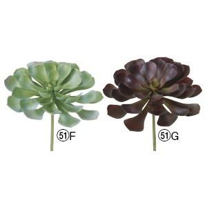 多肉植物 フェイクグリーン サッカレンテン〔×6本入り〕インテリア