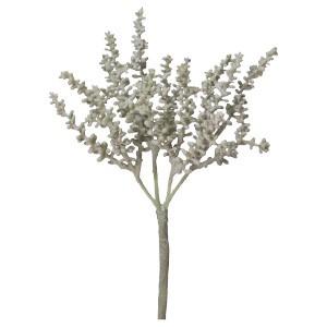 多肉植物 フェイクグリーン コキア〔×12本入り〕インテリア