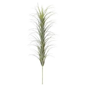 多肉植物 フェイクグリーン ティランドシア〔×12本入り〕インテリア