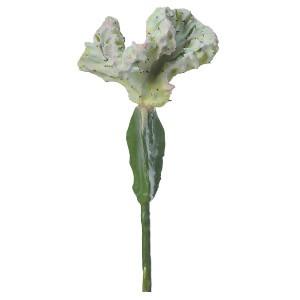 多肉植物 フェイクグリーン カクタス〔×6本入り〕インテリア