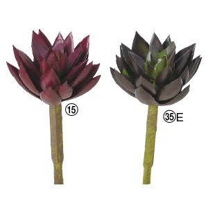 多肉植物 フェイクグリーン サッカレンテン〔×24本入り〕インテリア