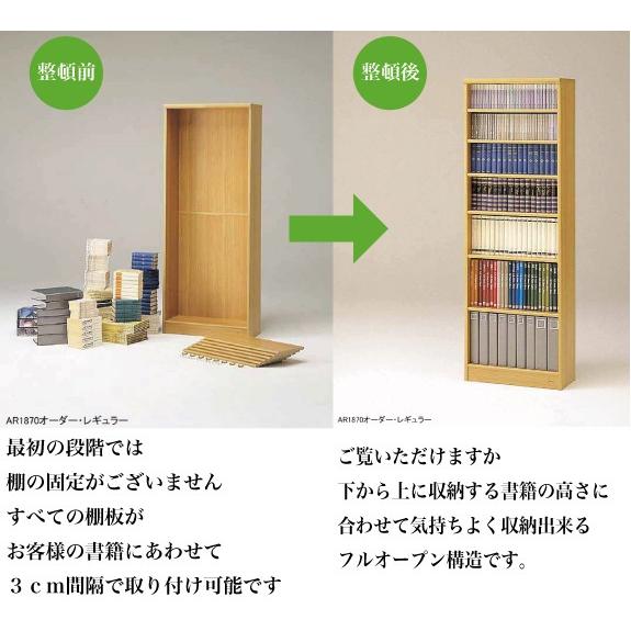 エースラック カラーラック AR/NC 6045 ブックシェルフ 本棚 収納棚
