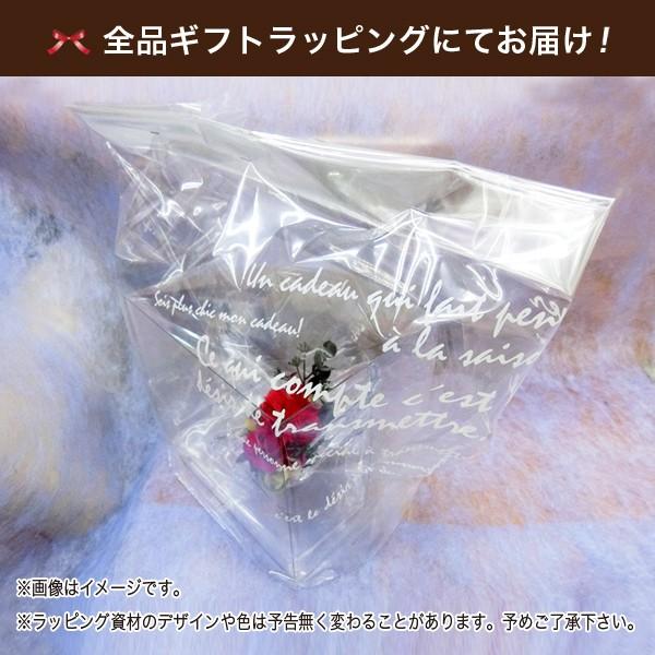 プリザーブドフラワー ギフト ルシアンリトファニーm ホワイトグリーン プレゼント ケース入り アレンジメント Preb 271m01 1g こものや 通販 Yahoo ショッピング