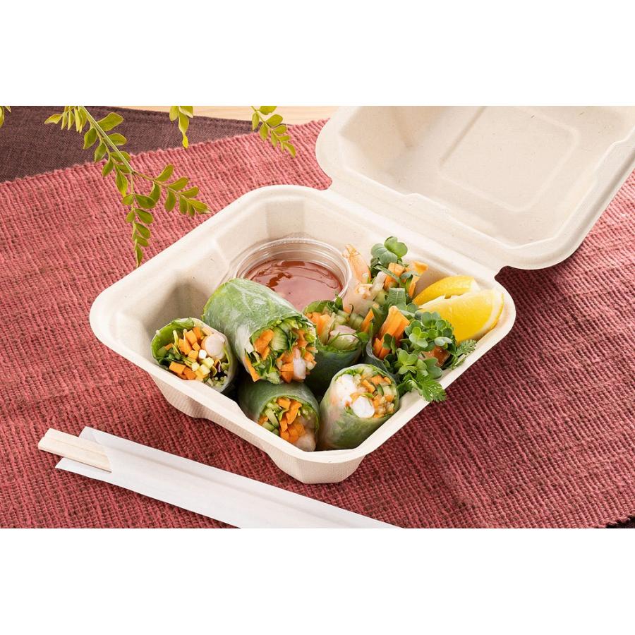 未晒し バガス フードパック ランチボックス エコフード容器 150x150mm サラダボックス TM-B101 50個×１パック