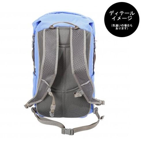 パーフェクトペテンシー(なるべく早く発送します) パーフェクトペテンシー(なるべく早く発送します) パーフェクトペテン