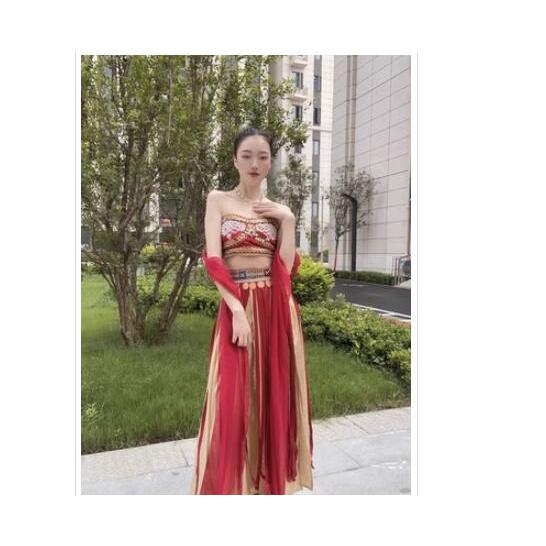 中華風アラビアン漢服 レディース敦煌飛天漢唐衣装ベリーダンス