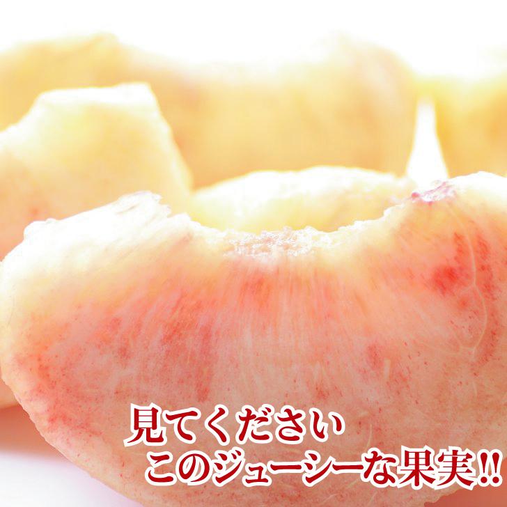 めざましテレビで紹介 凍みたい プレミアム 季節の果実入り15個セット スイーツ 送料無料 たい焼き お取り寄せ ギフト アイス クレープ 夏ギフト Shimi Pre 01 15 こむぎ庵 通販 Yahoo ショッピング