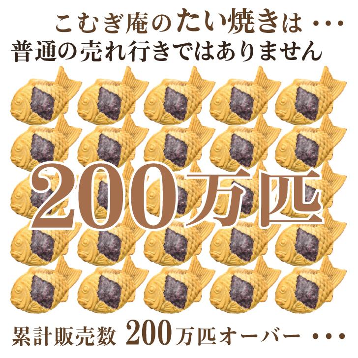 送料無料20個セット 薄皮たい焼き たい焼き たいやき お取り寄せ 宅配たい焼き 和菓子 スイーツ｜komugian｜02