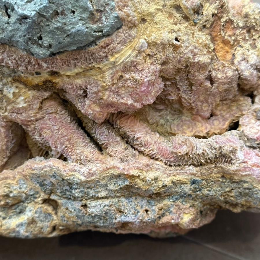 インカローズ ロードクロサイト スタラクタイト 原石 置石 標本 アルゼンチン産 天然石 |  | 05