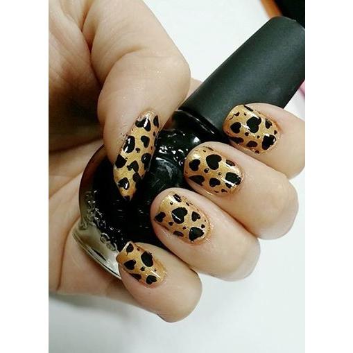 コナド スタンピングネイルアート イメージプレート M95 Konad スタンピングネイル スタンプネイル セルフネイル Konad Im 95 Konad Shop Hero 通販 Yahoo ショッピング