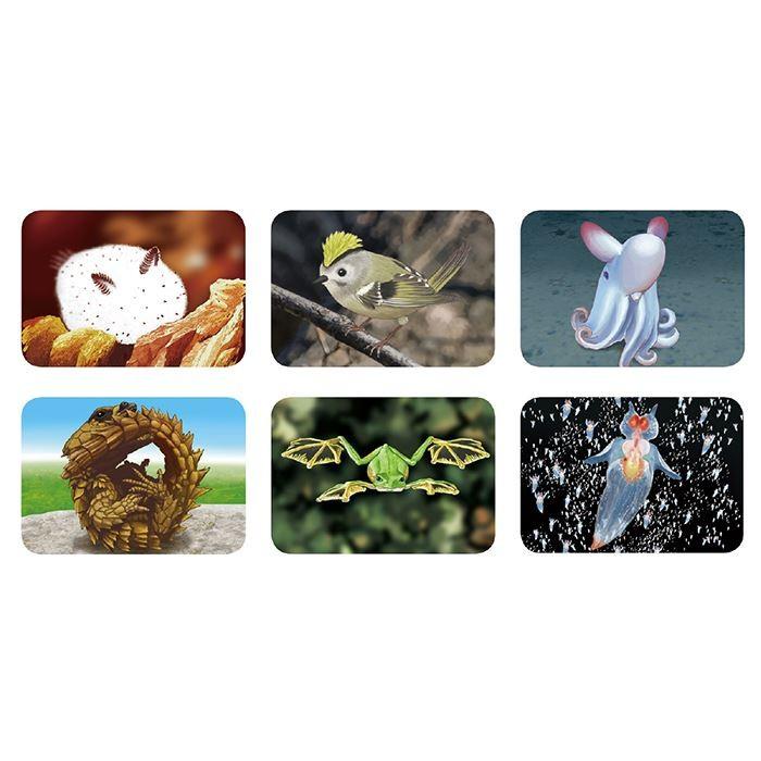 変ないきものプロジェクター 写真24枚 フィルム3つ付き へんな生き物を映し出す 学習 オモチャ 知育玩具 トイ Toy アーテック 6901 やるきゃんヤフー店 通販 Yahoo ショッピング