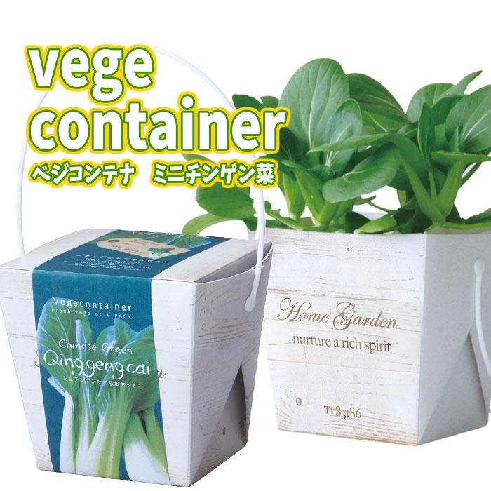 ベジコンテナ ミニチンゲンサイ 栽培セット 野菜 栽培キット ガーデニング 室内園芸 キッチン菜園 キッチンガーデン アーテック やるきゃんヤフー店 通販 Yahoo ショッピング