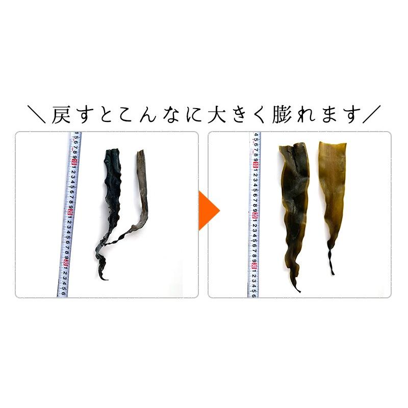 昆布専門問屋 源蔵屋 昆布 根昆布 3種類から選べる 栄養満点 昆布 頭