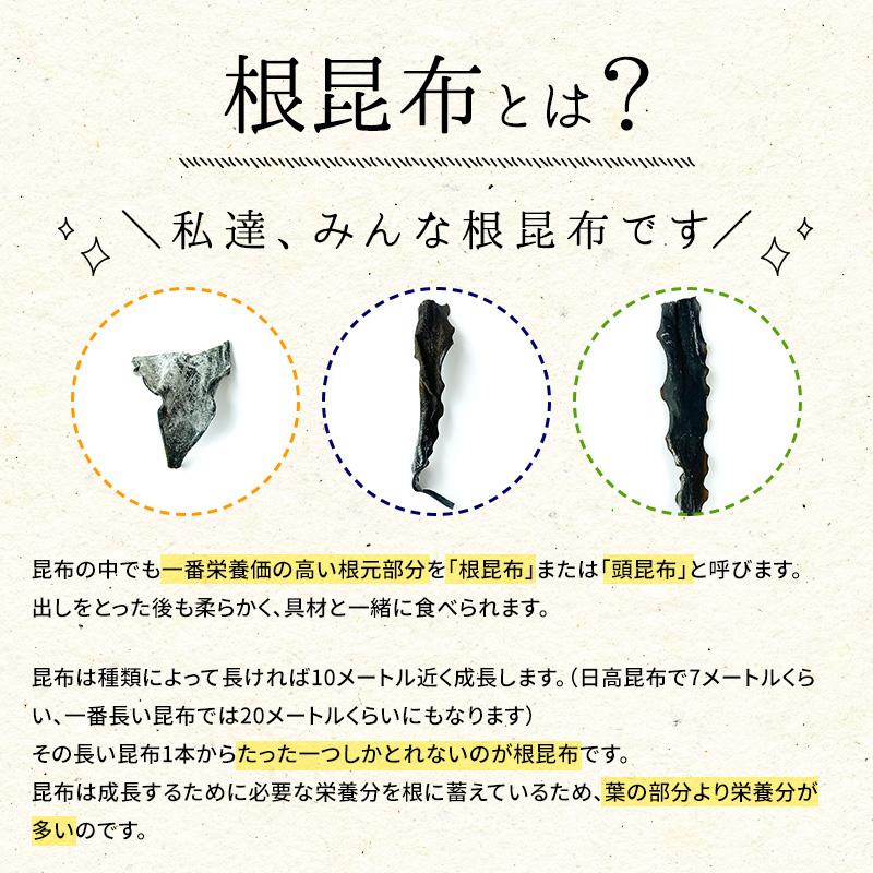 昆布専門問屋 源蔵屋 昆布 根昆布 3種類から選べる 栄養満点 昆布 頭