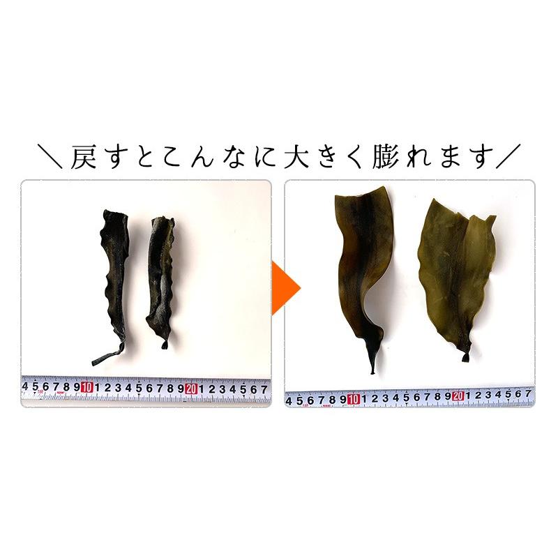 昆布専門問屋 源蔵屋 昆布 根昆布 3種類から選べる 栄養満点 昆布 頭