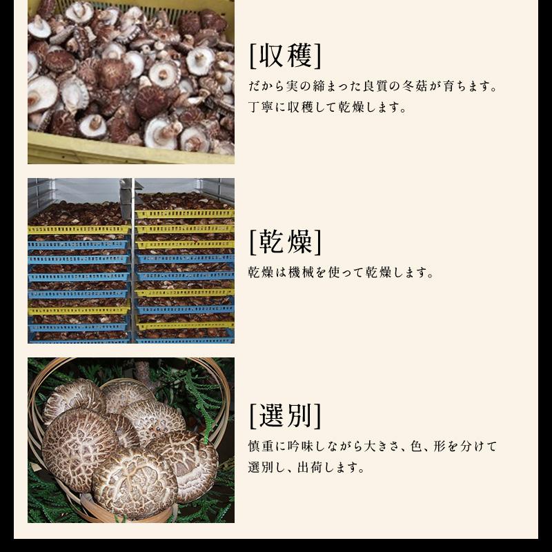 昆布専門問屋 源蔵屋 干し椎茸 国産 しいたけ 原木栽培 乾燥椎茸 昆布専門問屋 源蔵屋 干し椎茸 国産 しいたけ 原木栽培 乾燥椎茸
