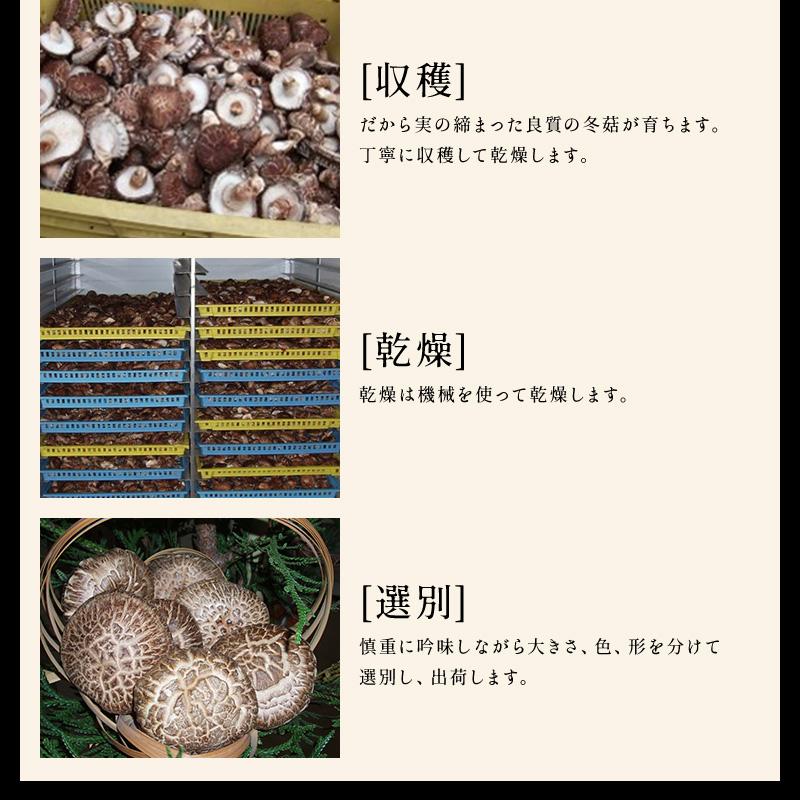 干し椎茸 国産 しいたけ 原木栽培 乾燥椎茸 原木しいたけ 250g 佐渡産 完全無農薬 肉厚 お取り寄せ 国産100％｜konbu-genzouya｜13